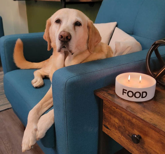 Odor Eliminating Dog Food Bowl Candle