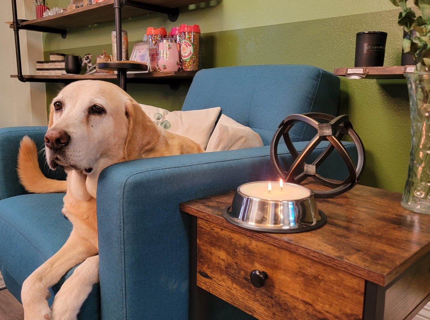 Odor Eliminating  Dog Food Bowl Candle