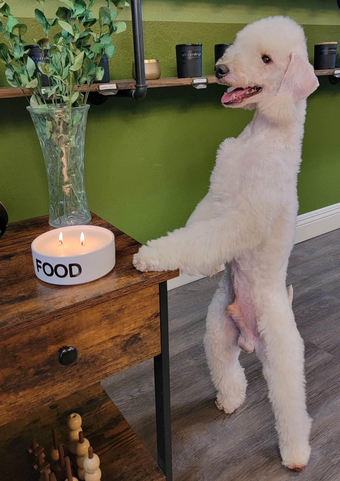Odor Eliminating Dog Food Bowl Candle